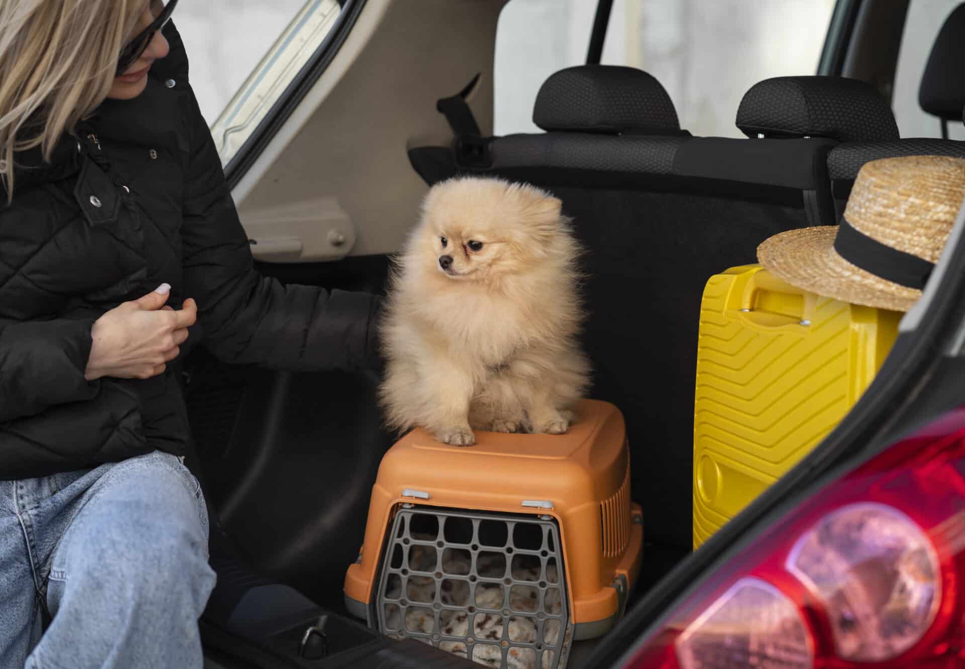 A caixa de transporte é uma das opções para garantir a segurança do pet durante a viagem. Foto: Freepik